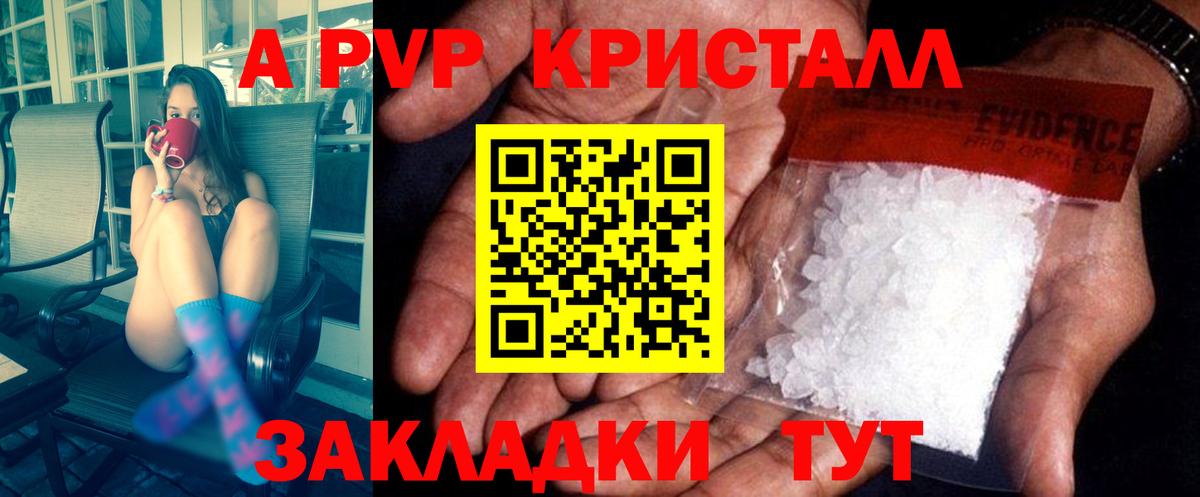 A PVP СК КРИС Прокопьевск