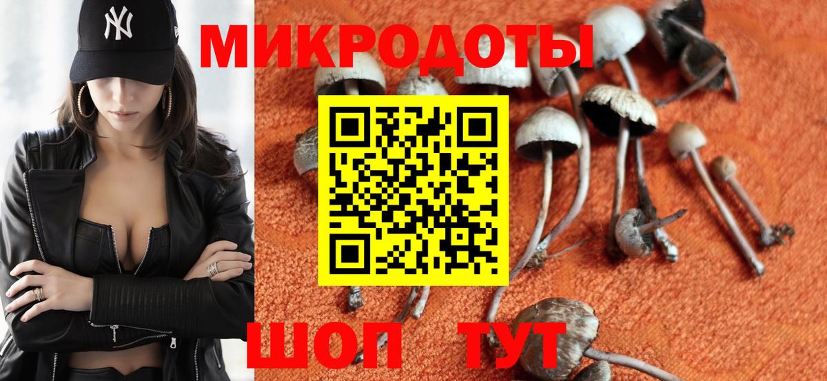 Прокопьевск  Псилоцибиновые грибы Psilocybine cubensis  Вход с VPN  Галлюциногенные грибы Cubensis 